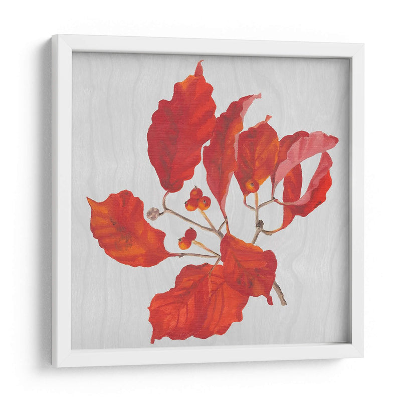 Hojas De Otoño Vi - Dianne Miller | Cuadro decorativo de Canvas Lab