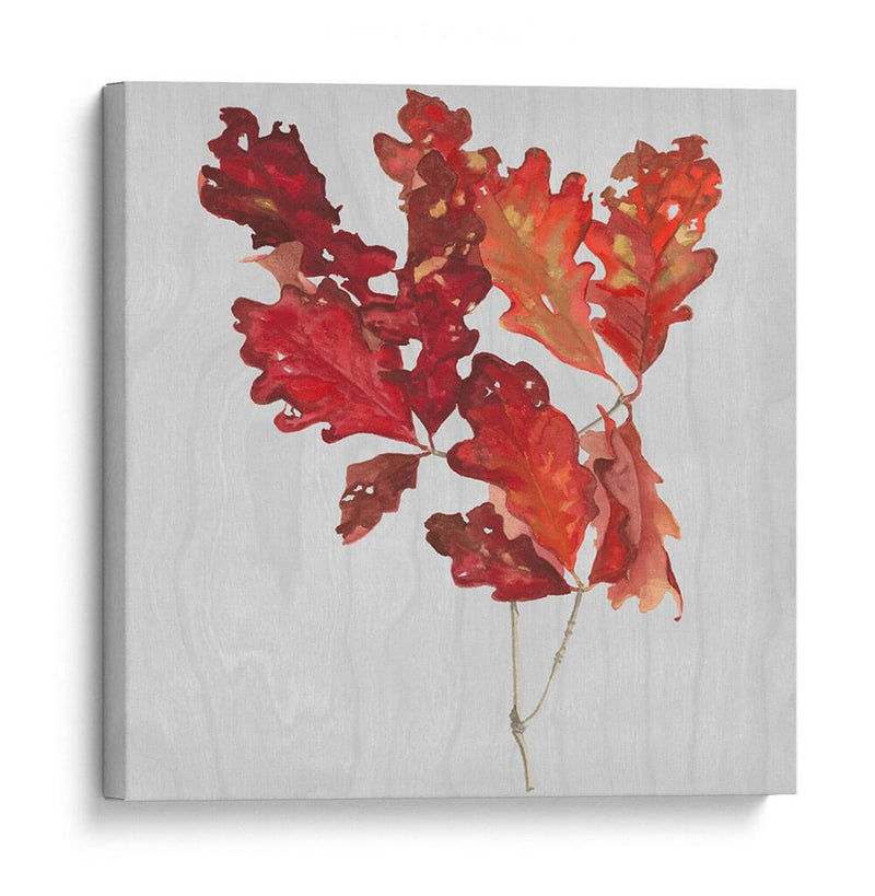 Hojas De Otoño Viii - Dianne Miller | Cuadro decorativo de Canvas Lab