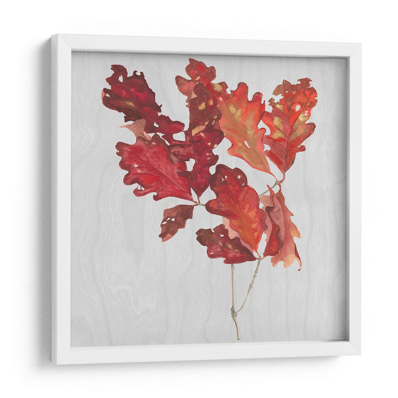 Hojas De Otoño Viii - Dianne Miller | Cuadro decorativo de Canvas Lab