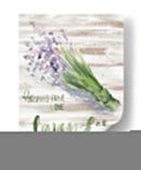 Bruja Verde Ii - Jennifer Paxton Parker | Cuadro decorativo de Canvas Lab