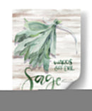 Bruja Verde Iii - Jennifer Paxton Parker | Cuadro decorativo de Canvas Lab