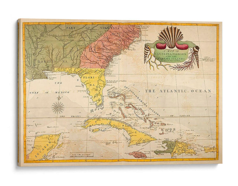 Mapa De Carolina, Florida Y Las Islas Bahama - Mark Catesby | Cuadro decorativo de Canvas Lab