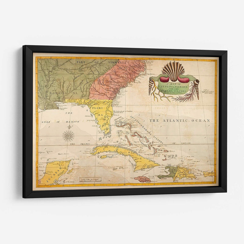 Mapa De Carolina, Florida Y Las Islas Bahama - Mark Catesby | Cuadro decorativo de Canvas Lab