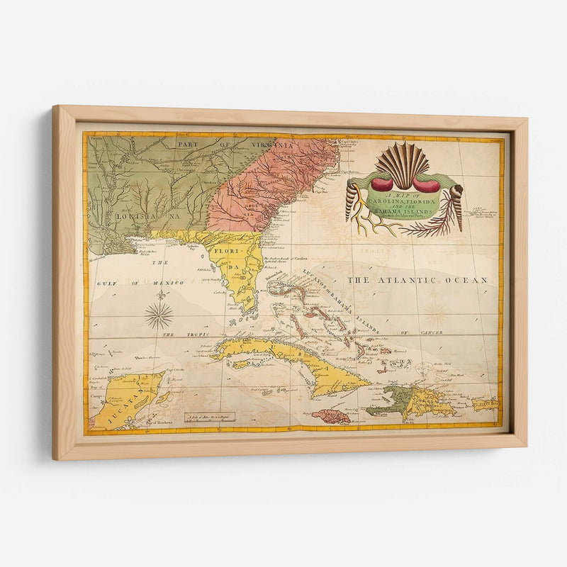 Mapa De Carolina, Florida Y Las Islas Bahama - Mark Catesby | Cuadro decorativo de Canvas Lab