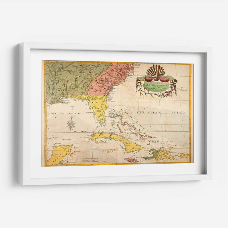 Mapa De Carolina, Florida Y Las Islas Bahama - Mark Catesby | Cuadro decorativo de Canvas Lab