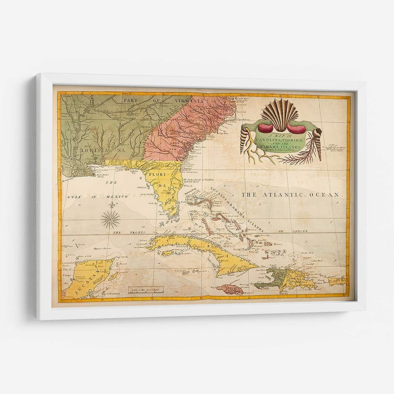 Mapa De Carolina, Florida Y Las Islas Bahama - Mark Catesby | Cuadro decorativo de Canvas Lab