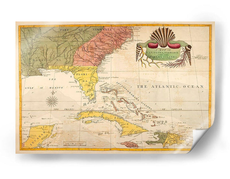 Mapa De Carolina, Florida Y Las Islas Bahama - Mark Catesby | Cuadro decorativo de Canvas Lab