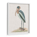 Catesby Heron Iv - Mark Catesby | Cuadro decorativo de Canvas Lab