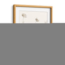 Estudio Botánico Neutral Iv - Vision Studio | Cuadro decorativo de Canvas Lab