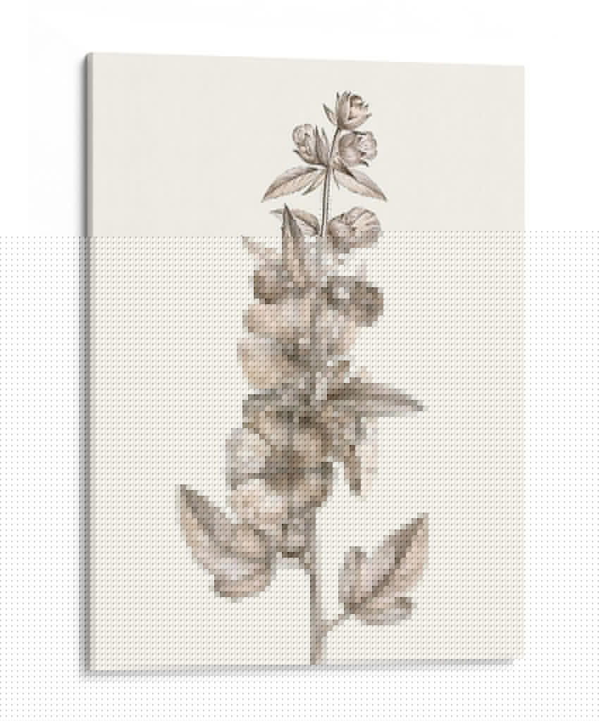 Estudio Botánico Neutral V - Vision Studio | Cuadro decorativo de Canvas Lab