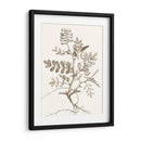 Estudio Botánico Neutral Vi - Vision Studio | Cuadro decorativo de Canvas Lab