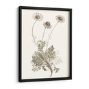 Estudio Botánico Neutral Viii - Vision Studio | Cuadro decorativo de Canvas Lab