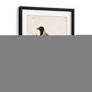 Tanager De Capital - John Latham | Cuadro decorativo de Canvas Lab