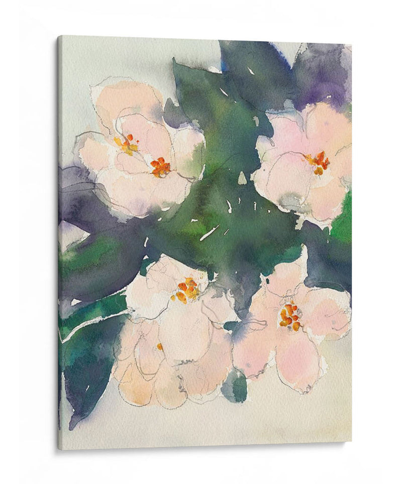 Peach Blooms Ii - Samuel Dixon | Cuadro decorativo de Canvas Lab