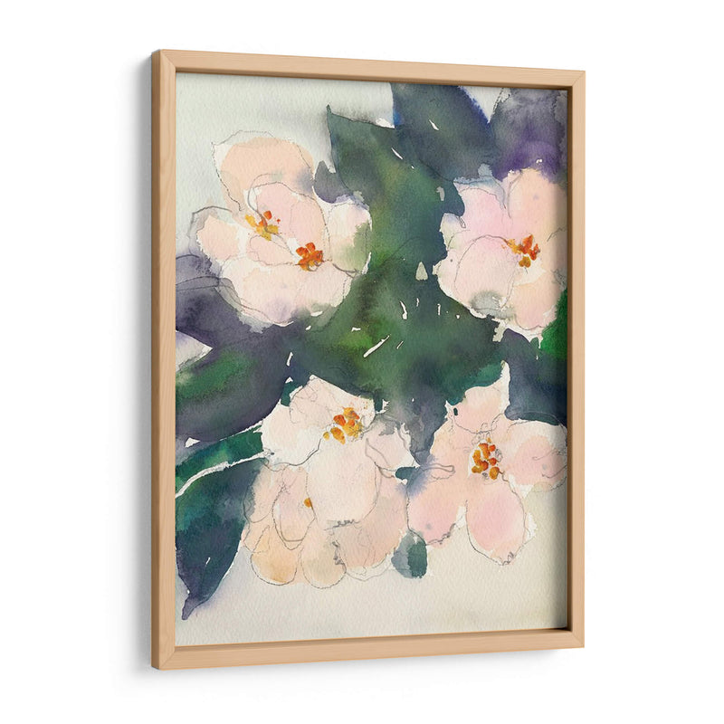 Peach Blooms Ii - Samuel Dixon | Cuadro decorativo de Canvas Lab