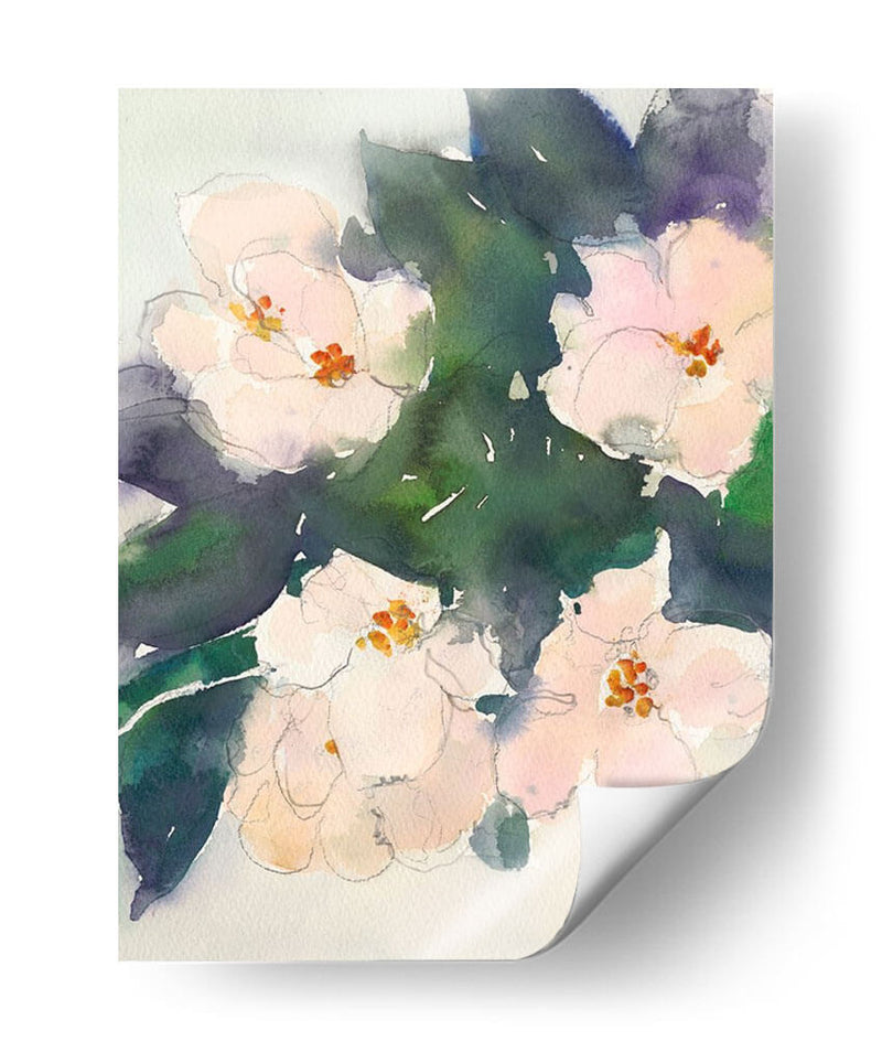 Peach Blooms Ii - Samuel Dixon | Cuadro decorativo de Canvas Lab