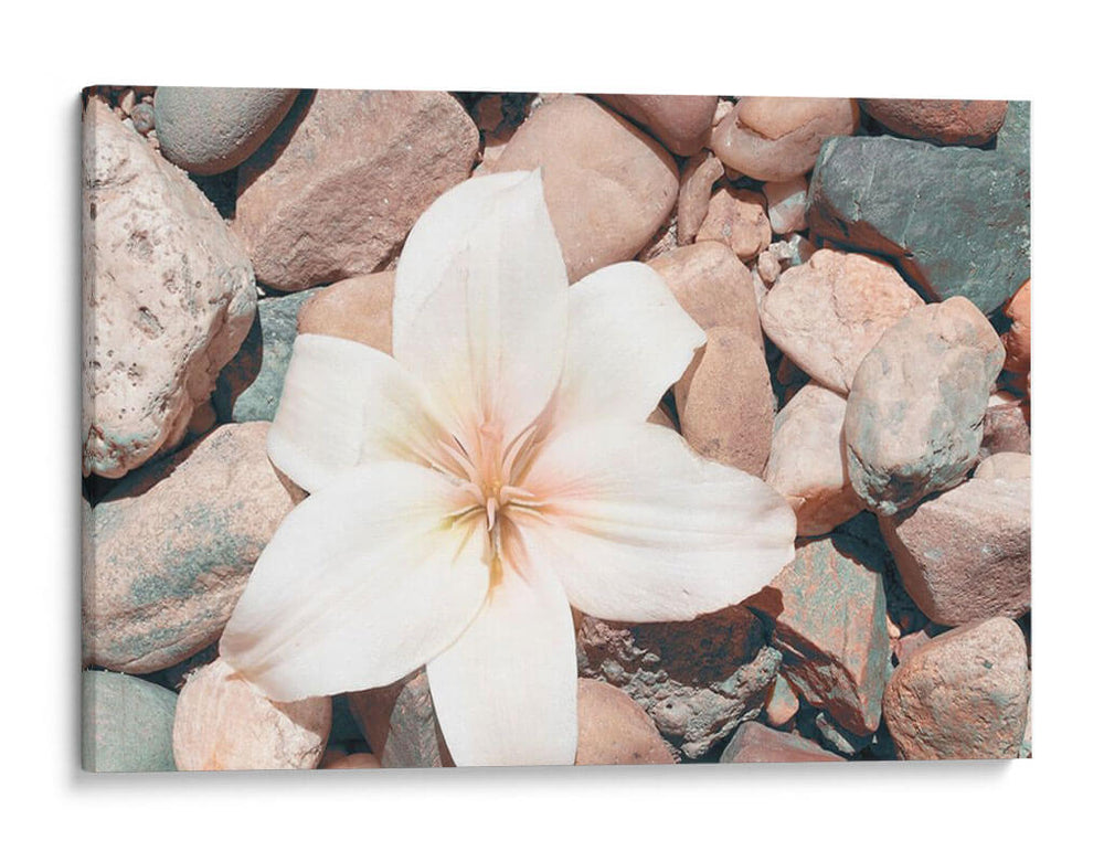 Pebble Beach I - Jason Johnson | Cuadro decorativo de Canvas Lab
