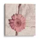 Flor De Piedra I - Jason Johnson | Cuadro decorativo de Canvas Lab