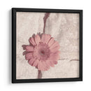 Flor De Piedra I - Jason Johnson | Cuadro decorativo de Canvas Lab