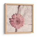 Flor De Piedra I - Jason Johnson | Cuadro decorativo de Canvas Lab