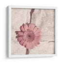 Flor De Piedra I - Jason Johnson | Cuadro decorativo de Canvas Lab