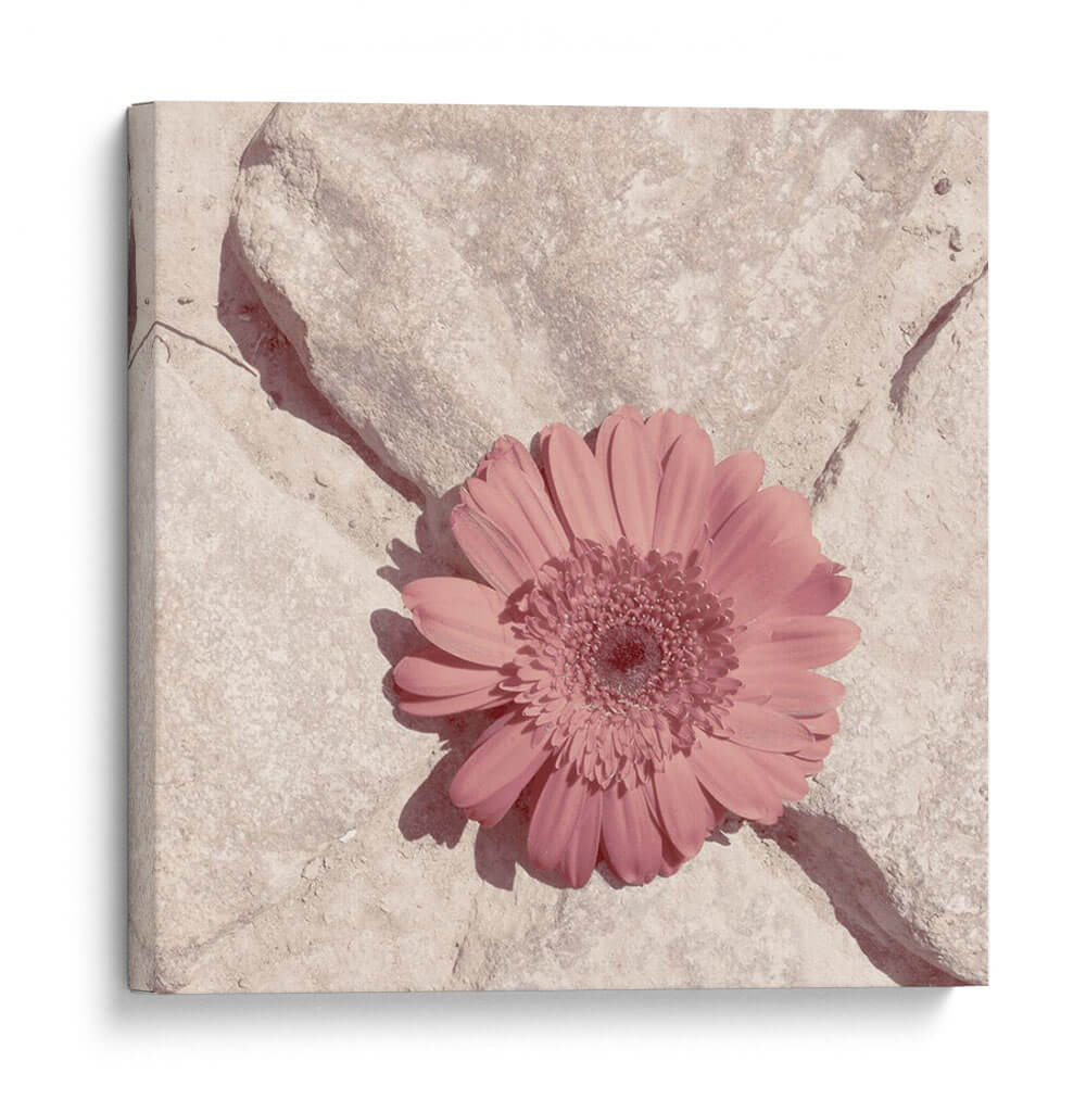 Piedra Blossom Ii - Jason Johnson | Cuadro decorativo de Canvas Lab