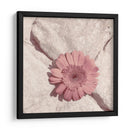 Piedra Blossom Ii - Jason Johnson | Cuadro decorativo de Canvas Lab