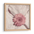 Piedra Blossom Ii - Jason Johnson | Cuadro decorativo de Canvas Lab