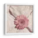 Piedra Blossom Ii - Jason Johnson | Cuadro decorativo de Canvas Lab