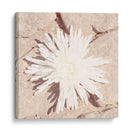 Piedra Blossom Iii - Jason Johnson | Cuadro decorativo de Canvas Lab