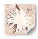Piedra Blossom Iii - Jason Johnson | Cuadro decorativo de Canvas Lab