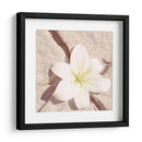 Piedra Blossom Iv - Jason Johnson | Cuadro decorativo de Canvas Lab