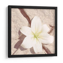 Piedra Blossom Iv - Jason Johnson | Cuadro decorativo de Canvas Lab