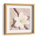 Piedra Blossom Iv - Jason Johnson | Cuadro decorativo de Canvas Lab