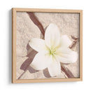 Piedra Blossom Iv - Jason Johnson | Cuadro decorativo de Canvas Lab