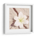 Piedra Blossom Iv - Jason Johnson | Cuadro decorativo de Canvas Lab