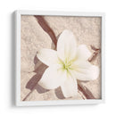 Piedra Blossom Iv - Jason Johnson | Cuadro decorativo de Canvas Lab