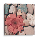 Cultivo De Piedra I - Jason Johnson | Cuadro decorativo de Canvas Lab