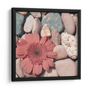 Cultivo De Piedra I - Jason Johnson | Cuadro decorativo de Canvas Lab