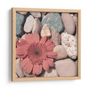 Cultivo De Piedra I - Jason Johnson | Cuadro decorativo de Canvas Lab