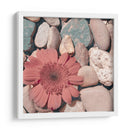 Cultivo De Piedra I - Jason Johnson | Cuadro decorativo de Canvas Lab