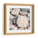 Cultivo De Piedra Ii - Jason Johnson | Cuadro decorativo de Canvas Lab