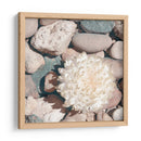 Cultivo De Piedra Ii - Jason Johnson | Cuadro decorativo de Canvas Lab