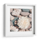 Cultivo De Piedra Ii - Jason Johnson | Cuadro decorativo de Canvas Lab