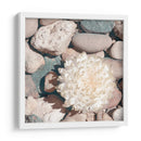 Cultivo De Piedra Ii - Jason Johnson | Cuadro decorativo de Canvas Lab