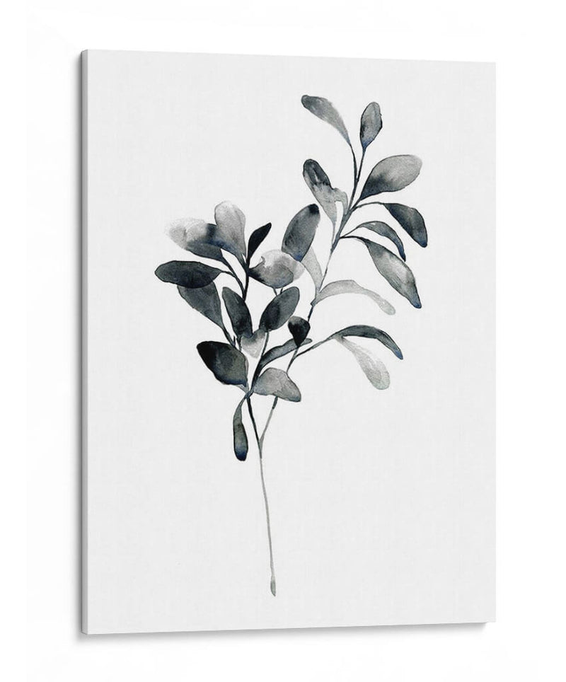 Brume Botanical I - Emma Scarvey | Cuadro decorativo de Canvas Lab