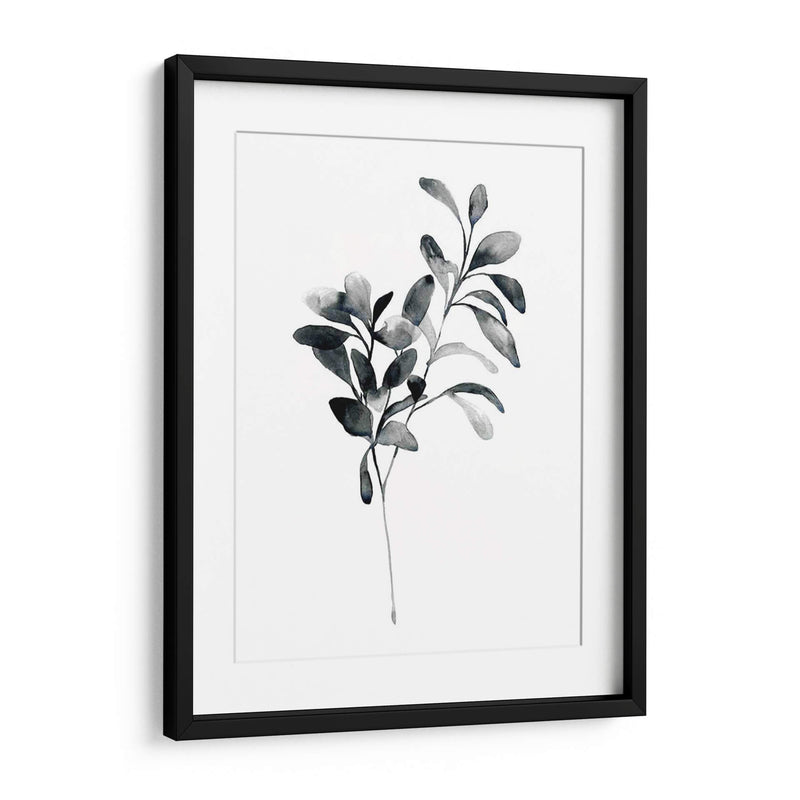 Brume Botanical I - Emma Scarvey | Cuadro decorativo de Canvas Lab