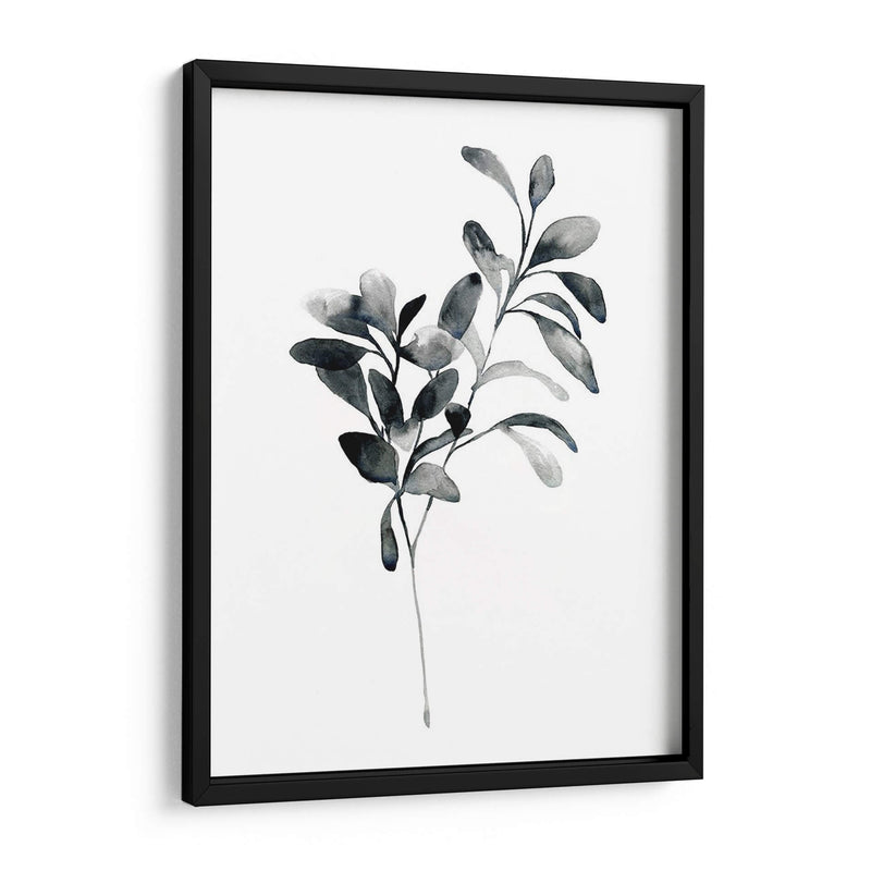 Brume Botanical I - Emma Scarvey | Cuadro decorativo de Canvas Lab