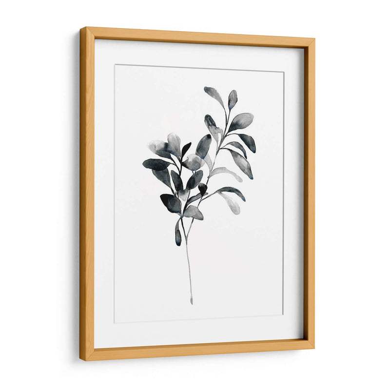 Brume Botanical I - Emma Scarvey | Cuadro decorativo de Canvas Lab