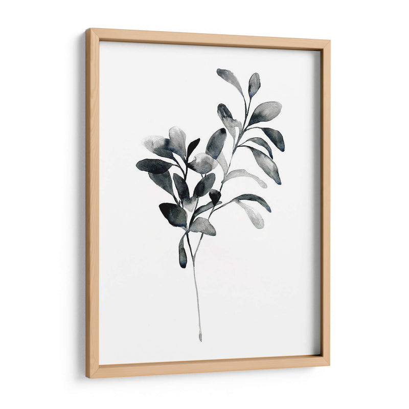 Brume Botanical I - Emma Scarvey | Cuadro decorativo de Canvas Lab